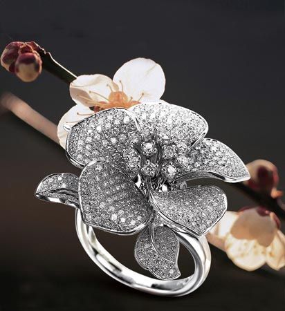 點(diǎn)擊圖片進(jìn)入下一頁(yè)