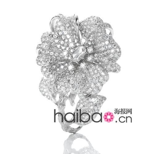 ɴAO(sh)Ӌ(j)(Anna Hu)cǼ(Jason Wu)׶ȿڼ~sݸ߼(j)錚cr(sh)bAʢ磡