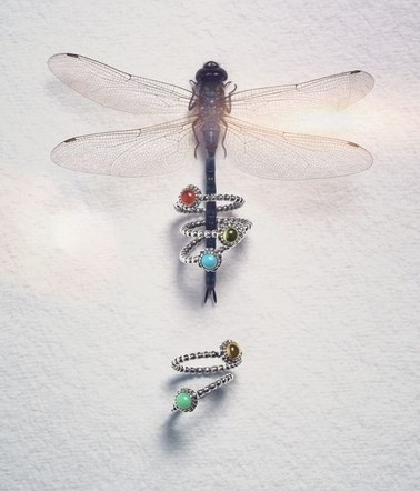 PANDORA2012ϵ錚 ͹Ż