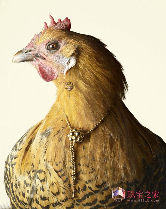 Peter Lippmannëϵ錚AƬ