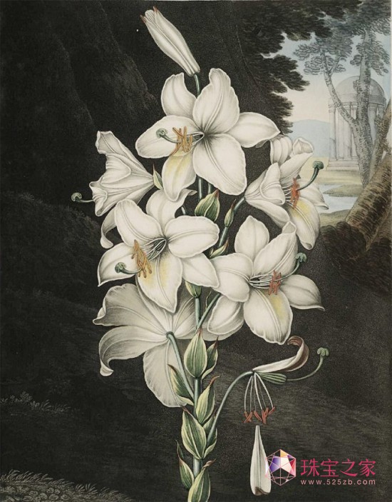 ԊDMétiers d’Artˇg“֮”ϵ