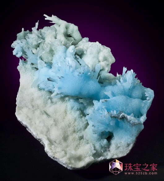 HVﾧwչ^״2013ЇH錚չ