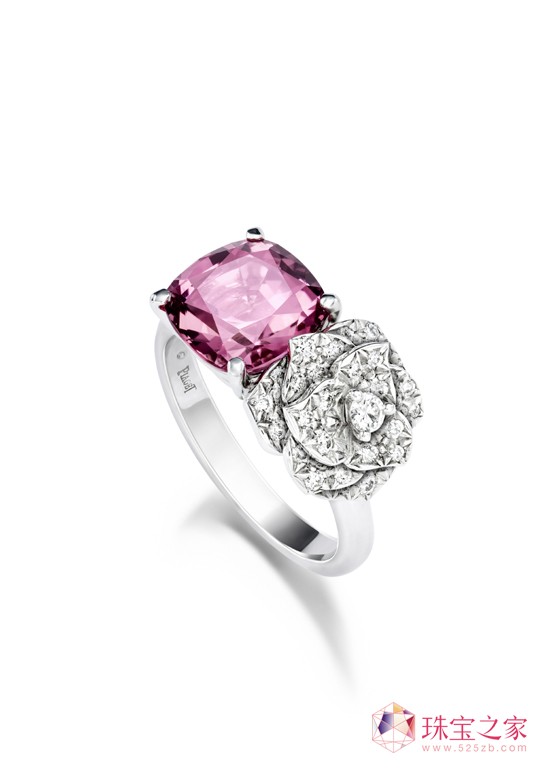 Piaget Roseϵ