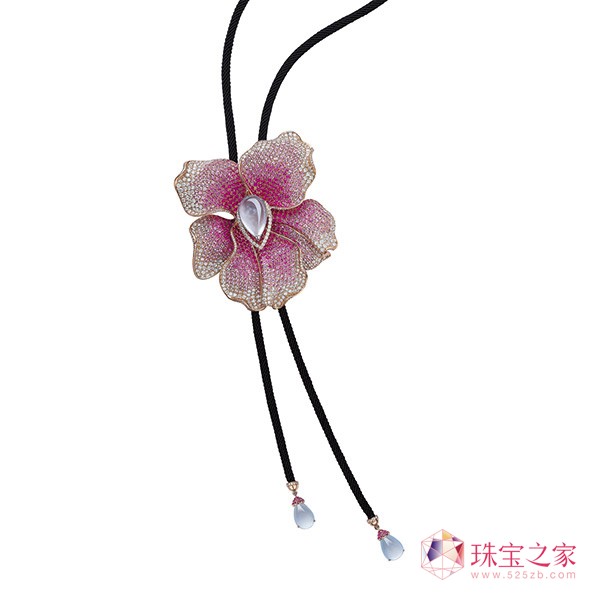 Aster Ma ߼錚Ʊ҃(yu)ņĻ