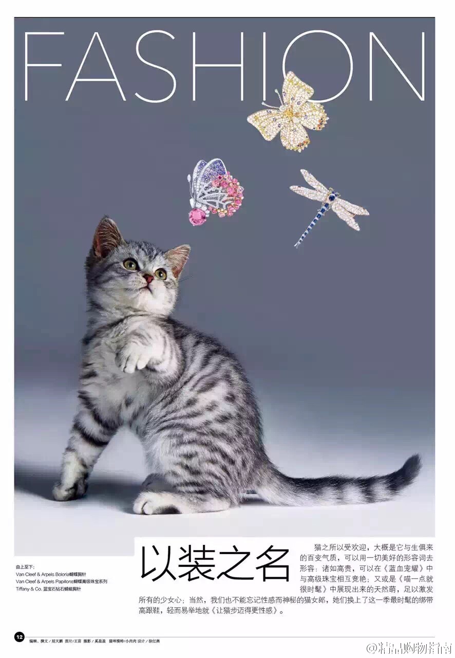 ȑB(ti)[A錚 cձײĘ
