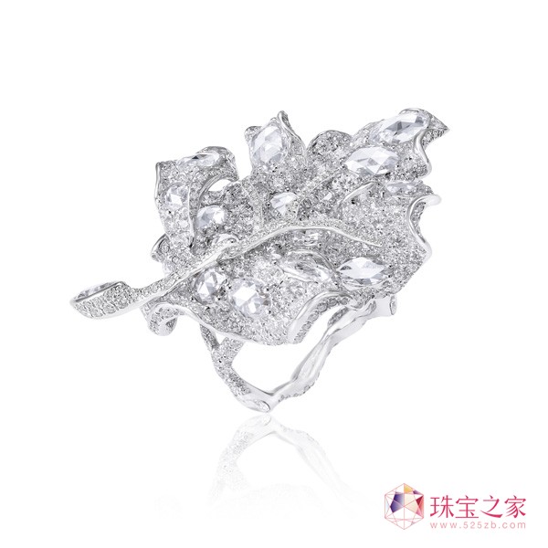 װٺCINDY CHAOˇg(sh)錚WҫA(jing)