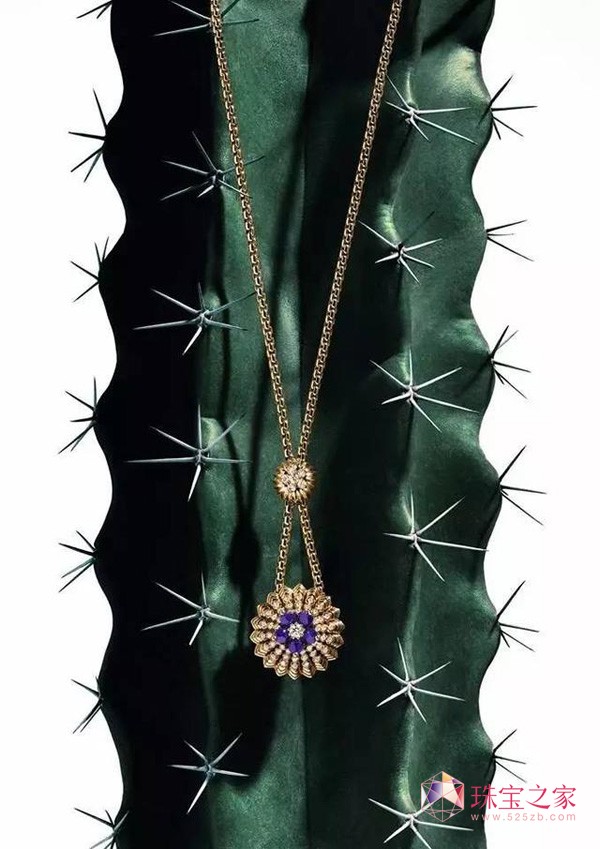 ؁Cactus de Cartier ϵʢľ`